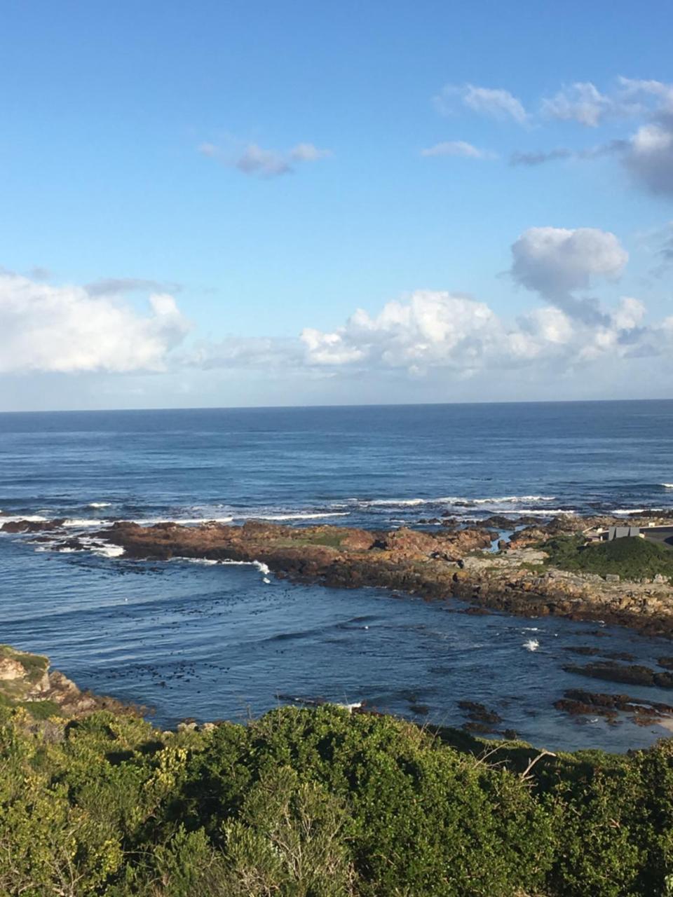 Apartmán Royal Albatros Gansbaai Exteriér fotografie